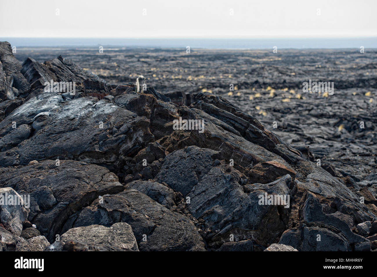 Hawaii big island lava fields Stock Photo - Alamy