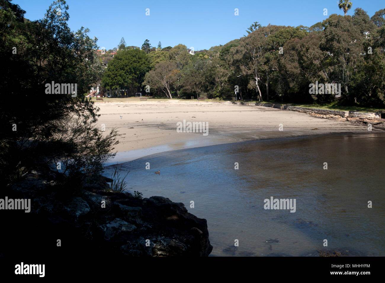 beach parsely bay vaucluse sydney new south wales australia Stock Photo