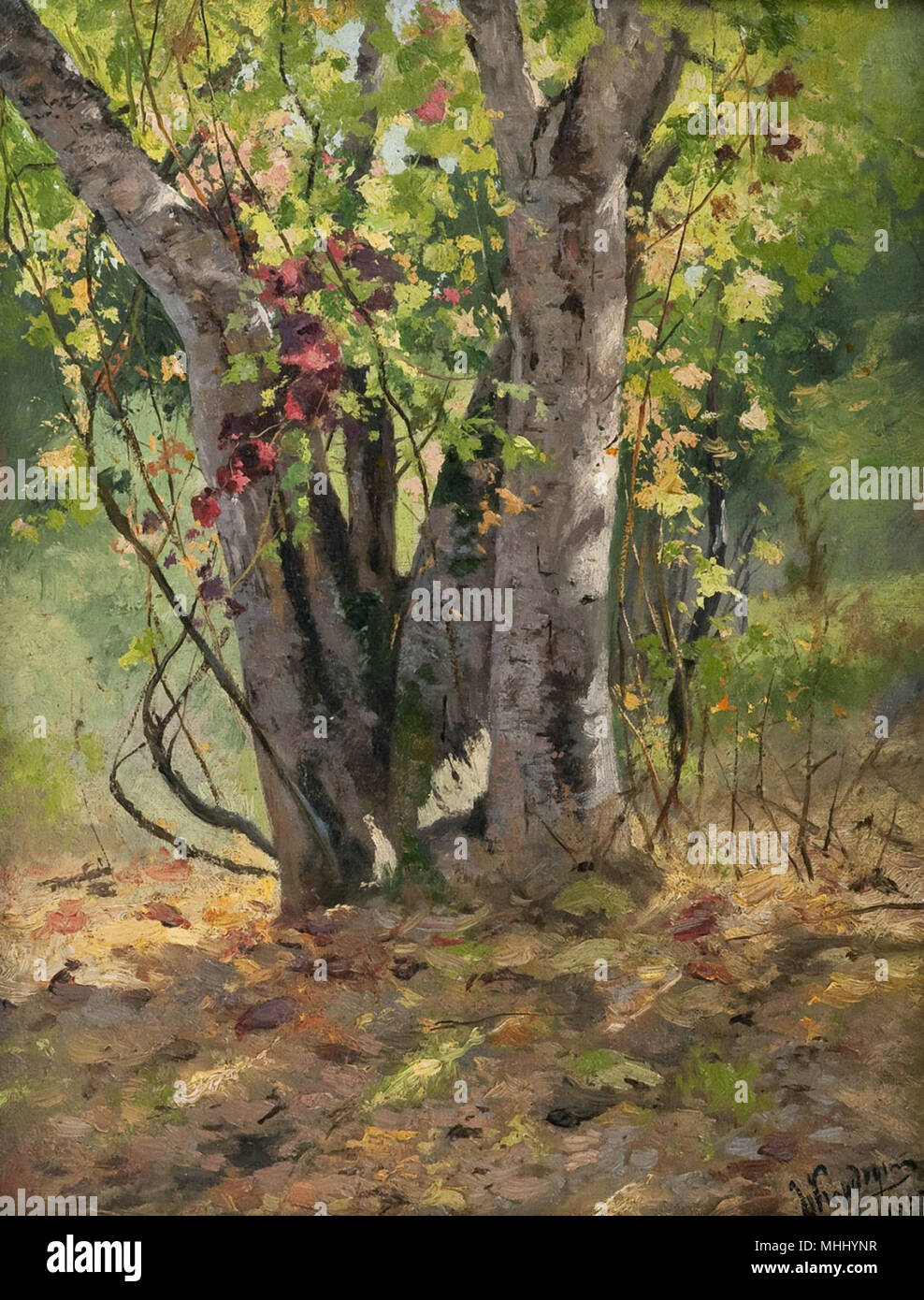 20" PRINT Golden Autumn by Ostroukhov ANTIQUE MUSEUM ART FOREST VIEW 