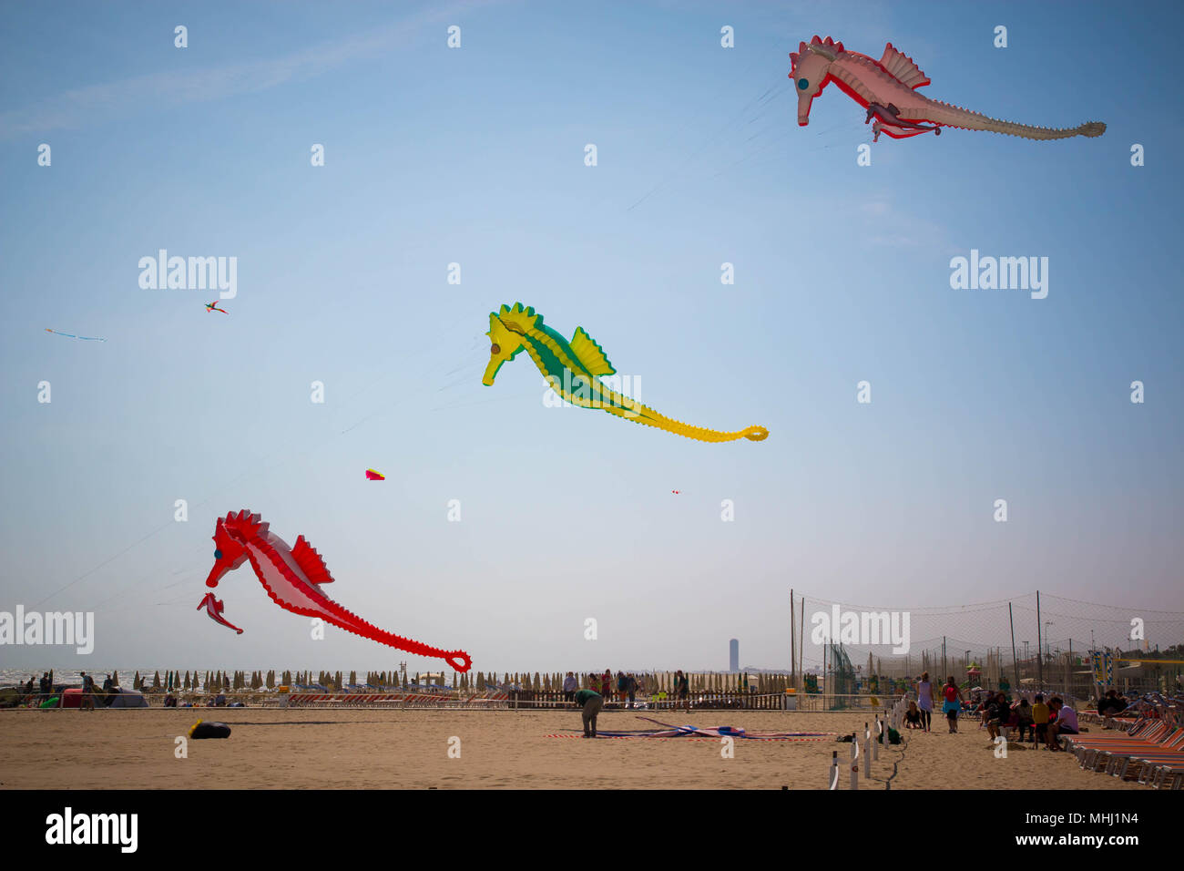 Three giant seahorses kites on the beach at Cervia international kite