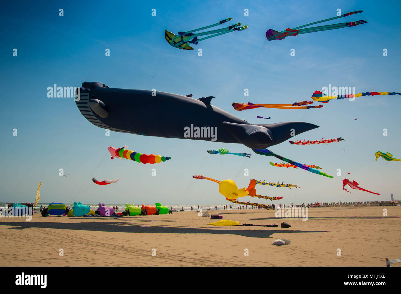 Many Colorful Kites In Different Shapes On The Beach At