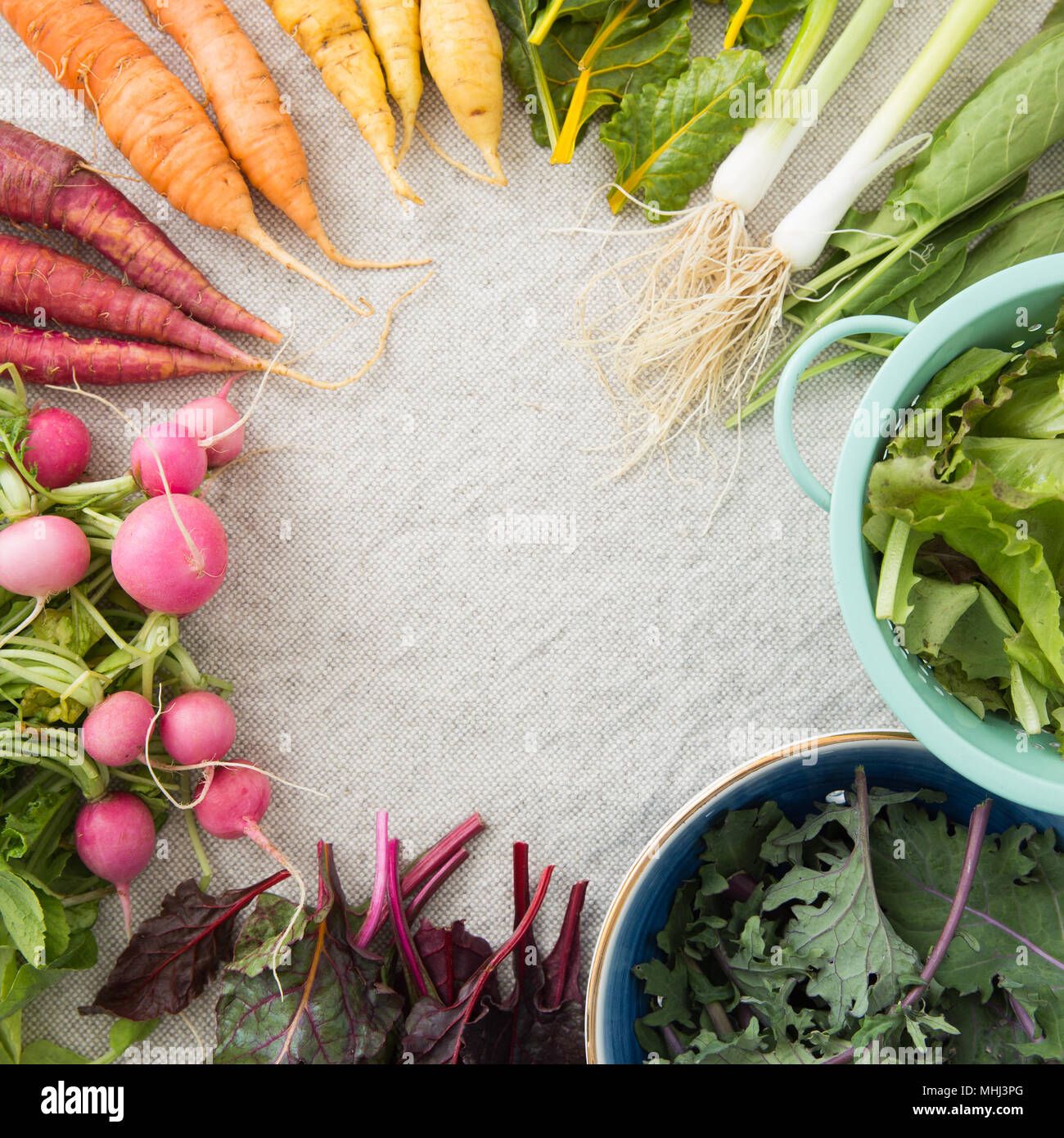 rainbow vegetables in a circle Stock Photo Alamy