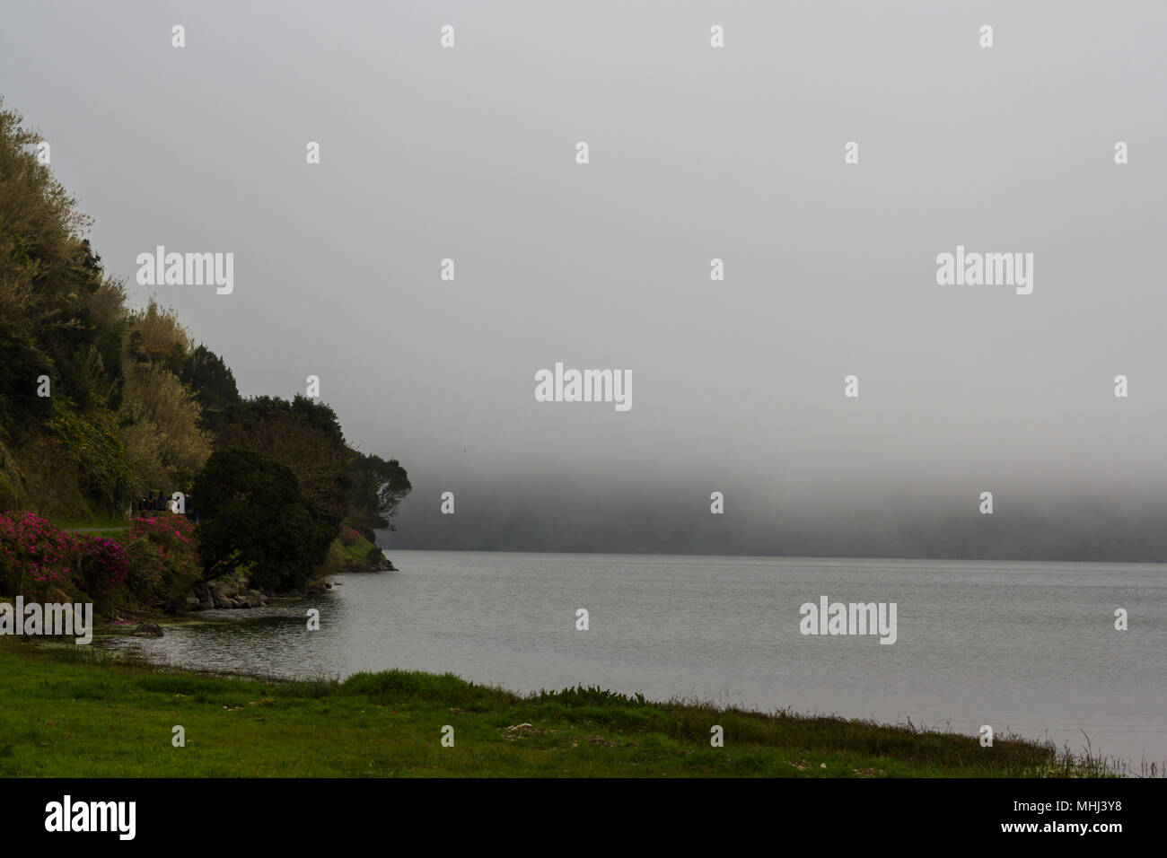 Misty lake landscape Stock Photo - Alamy