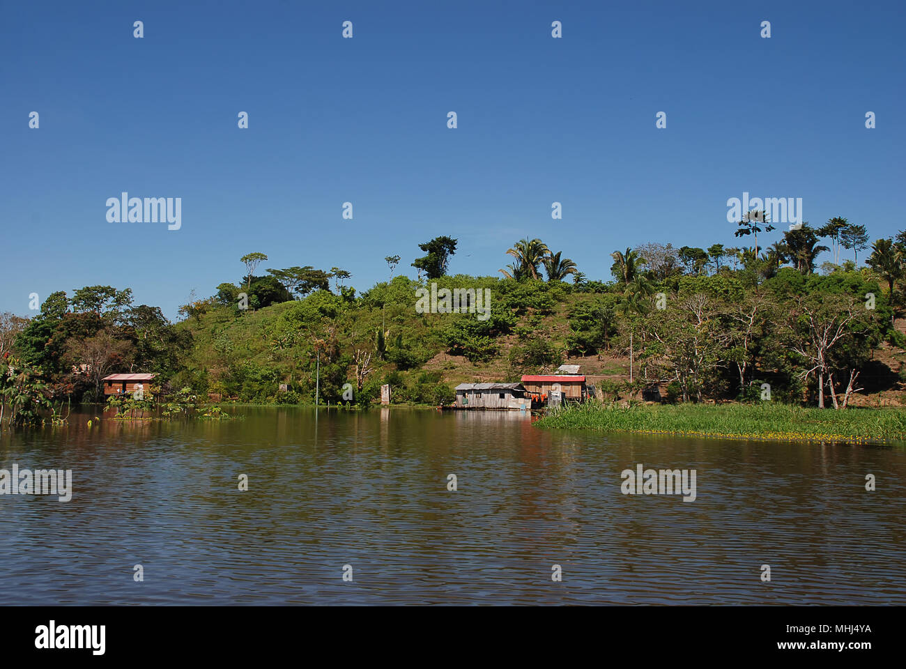 Wooden houses along the River Amazon near Manaus, Brazil Stock Photo