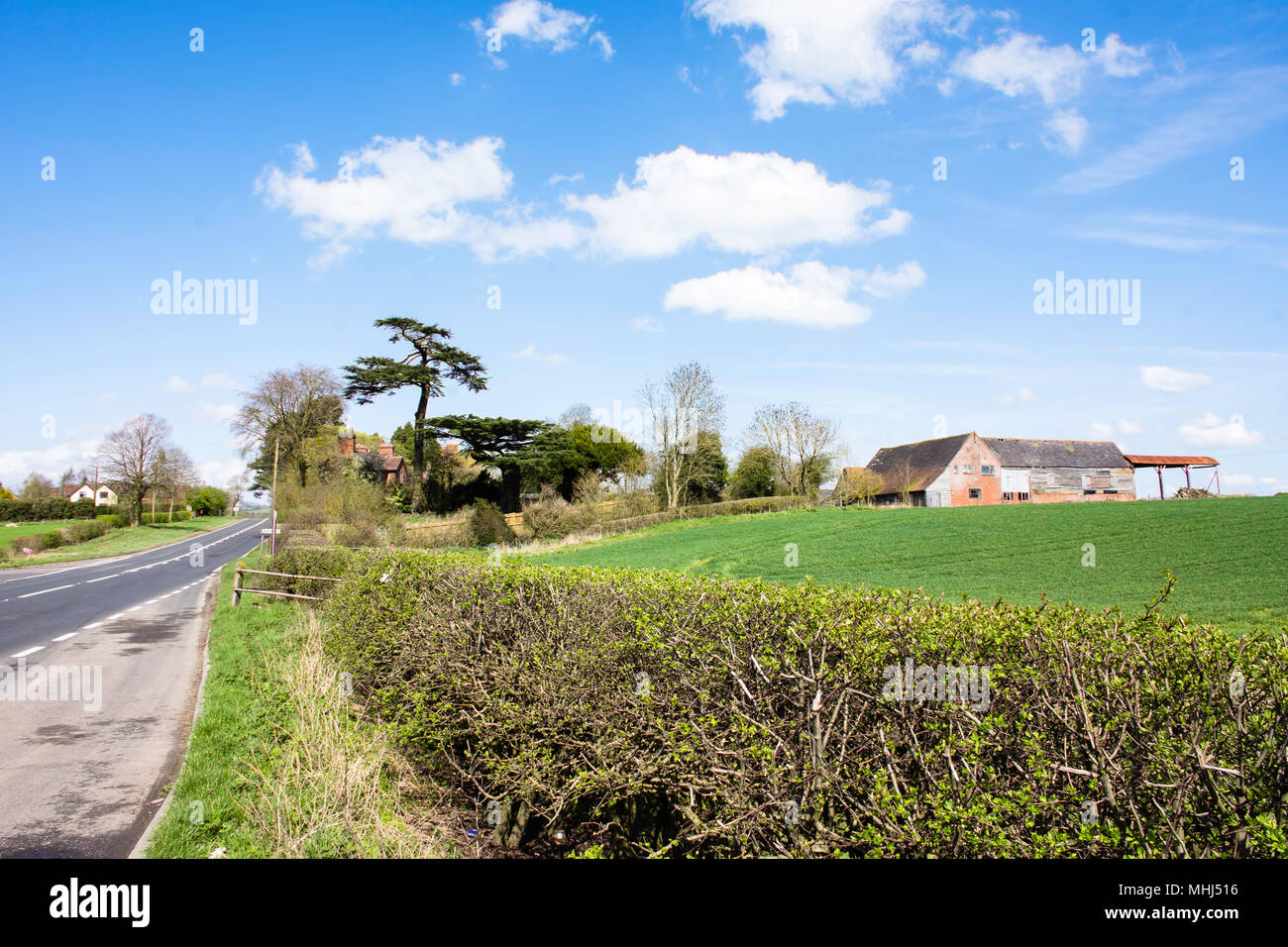 British Countryside In Spring Green Fields And Hedge Barn Countryside Road Green Hedge And Blue Sky Staffordshire Landscape Uk Good Weather England Stock Photo Alamy