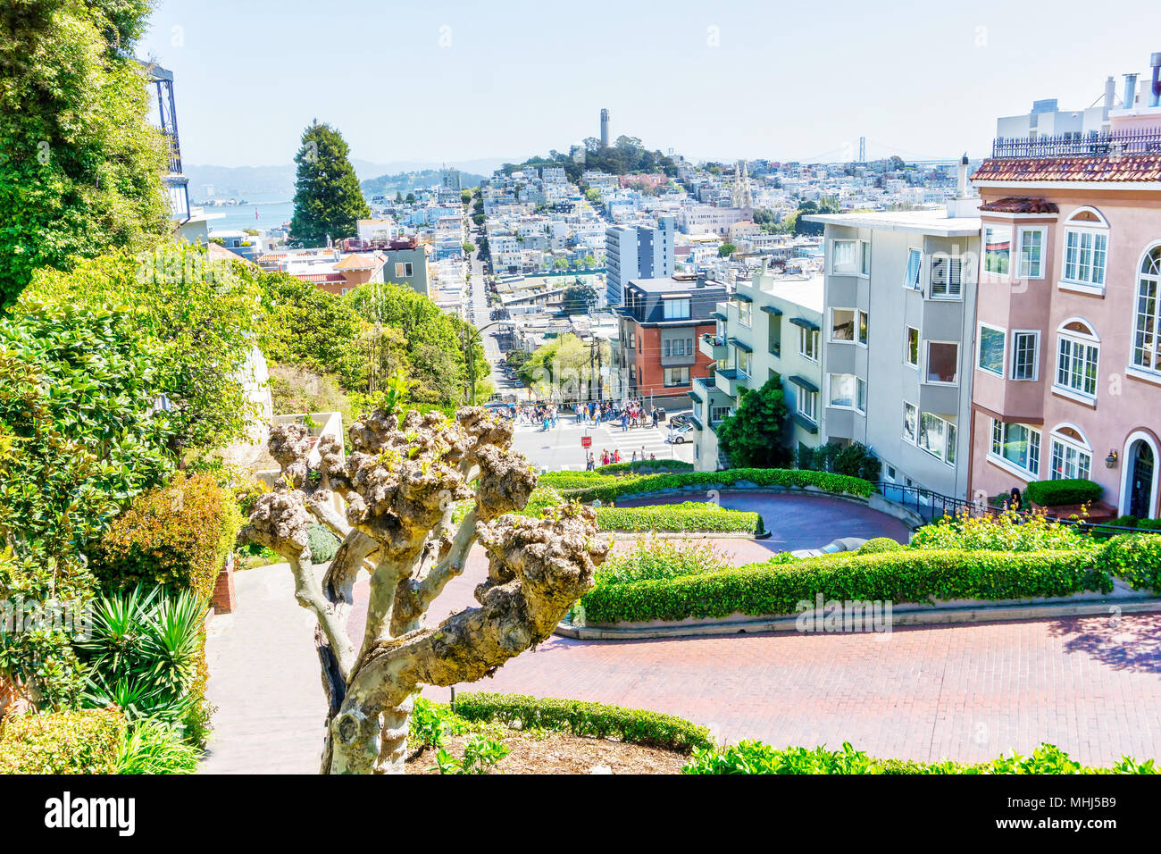 High-angle view of San Francisco skyline at Lombard Street toward San Francisco Bay in downtown North Beach community showing Fisherman's Wharf and Co Stock Photo