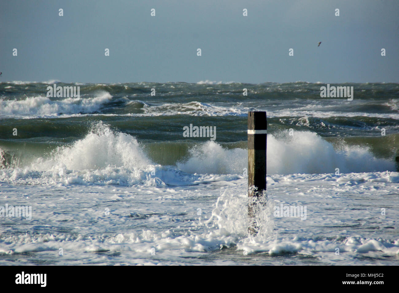 Waves on North Sea beach, on the island Texel, Holland.Europe. Stock Photo