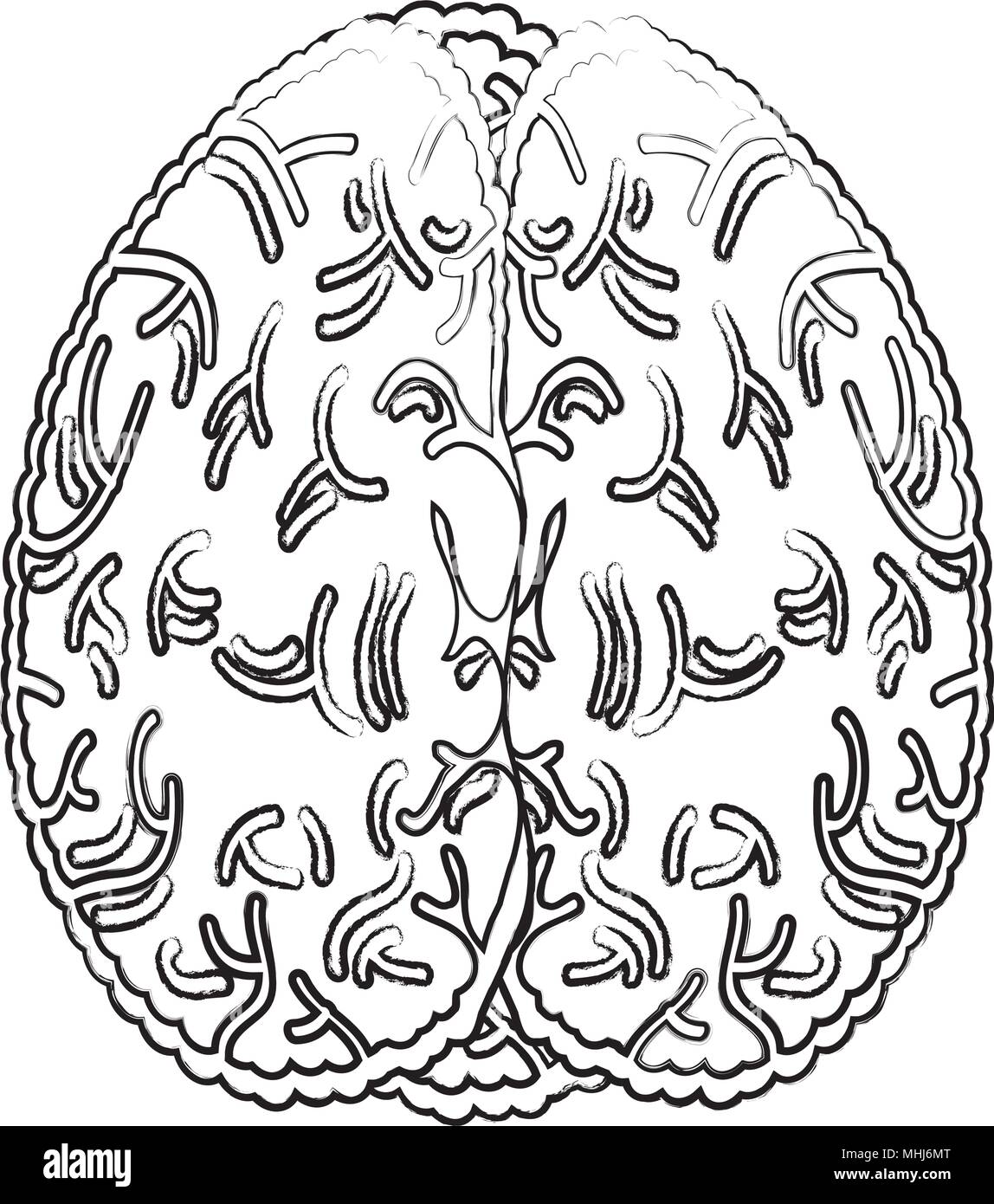 human brain icon over white background, vector illustration Stock ...
