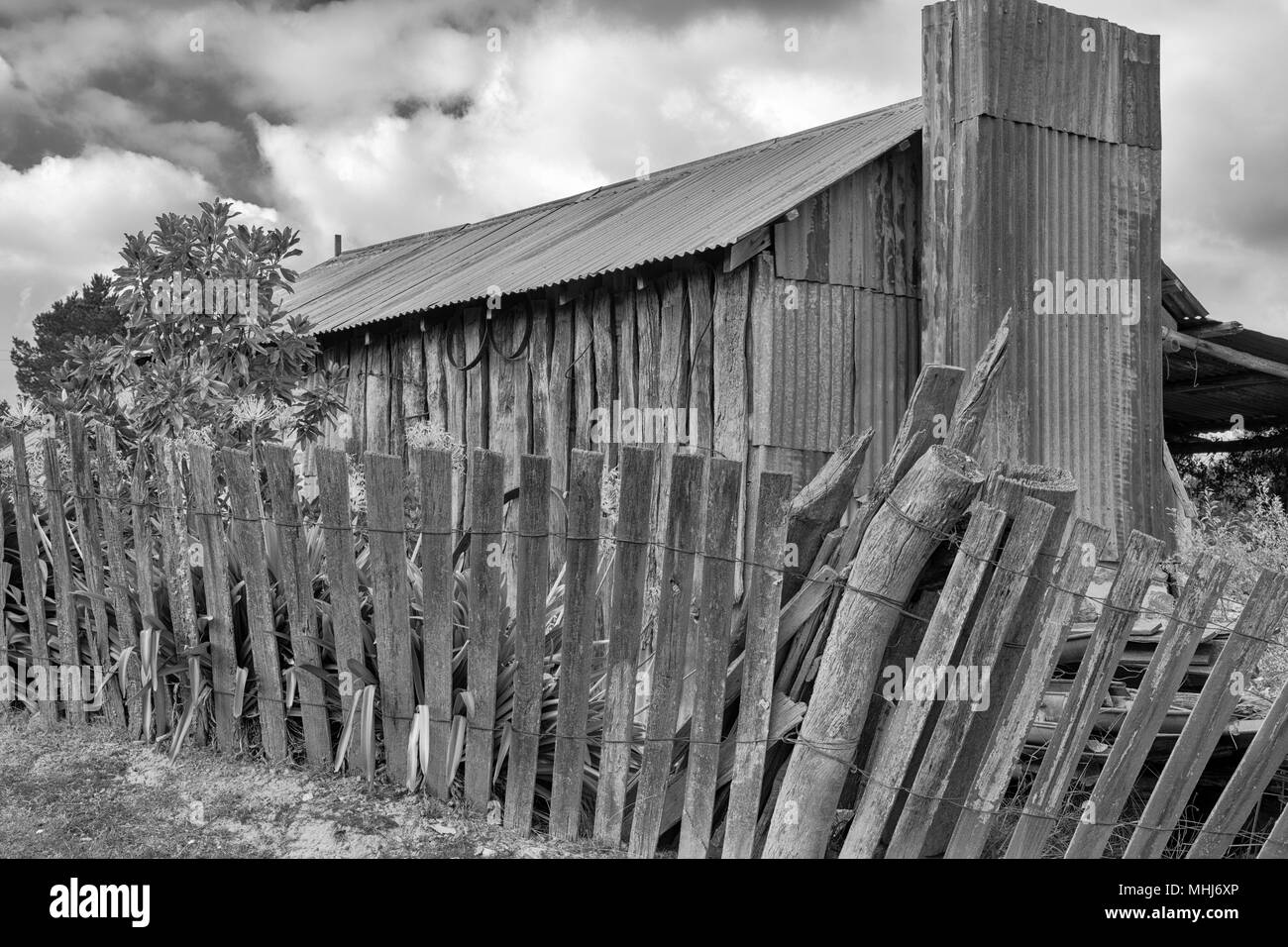 Hill End, Bathurst, New South Wales, Australia. Black and white photograph of old rusty iron and timber slab cottage in the historic gold mining town  Stock Photo