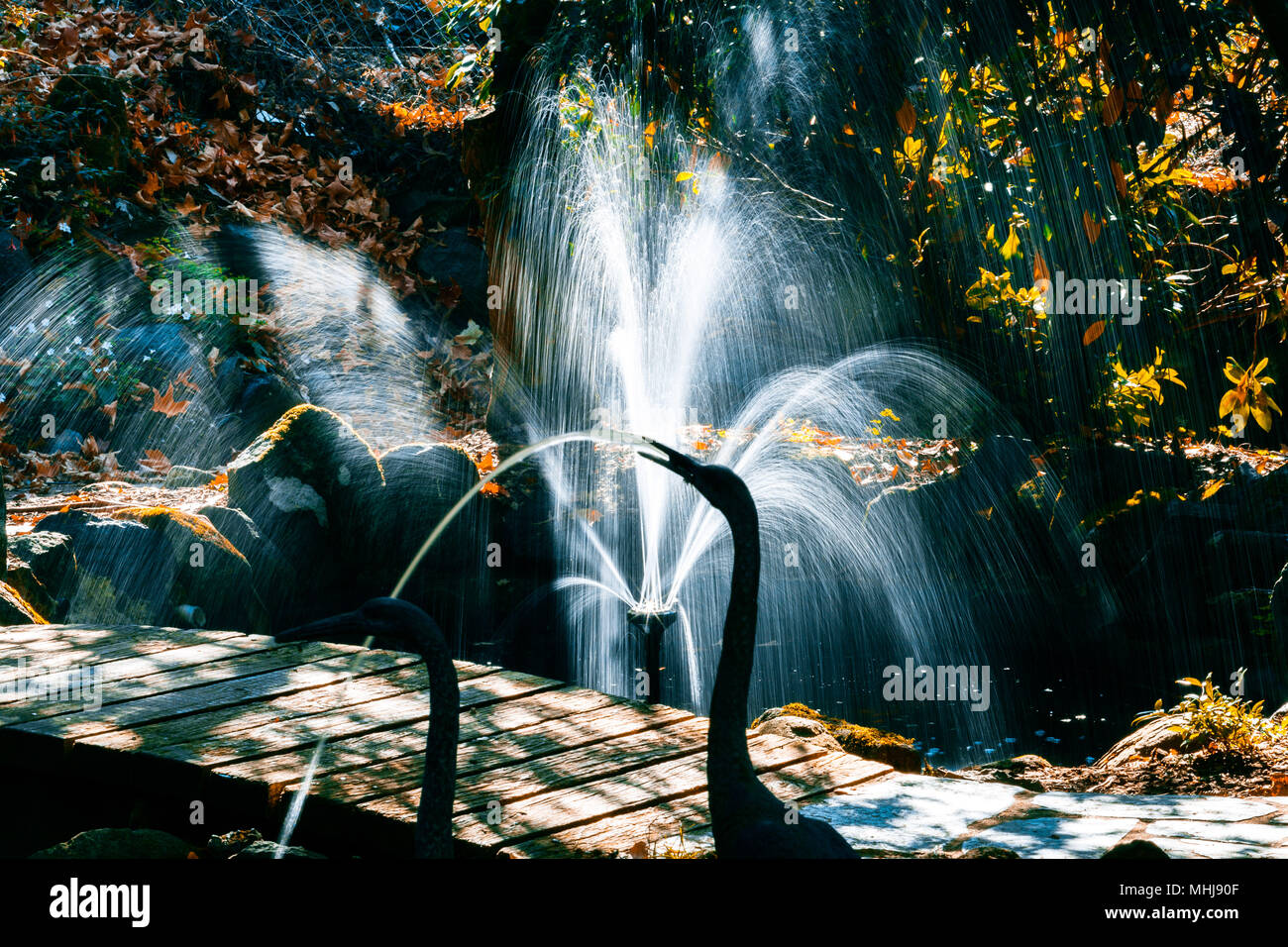 Fountain in a beautiful autumn garden Stock Photo - Alamy