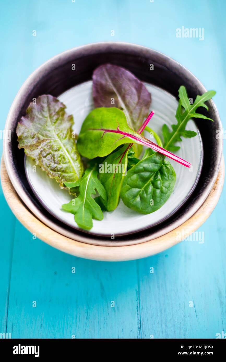 Mixed baby leaf salad of red chard, arugula, red lettuce and tatsoi in small bowls on a aquamarine wooden table, Selective focus Stock Photo