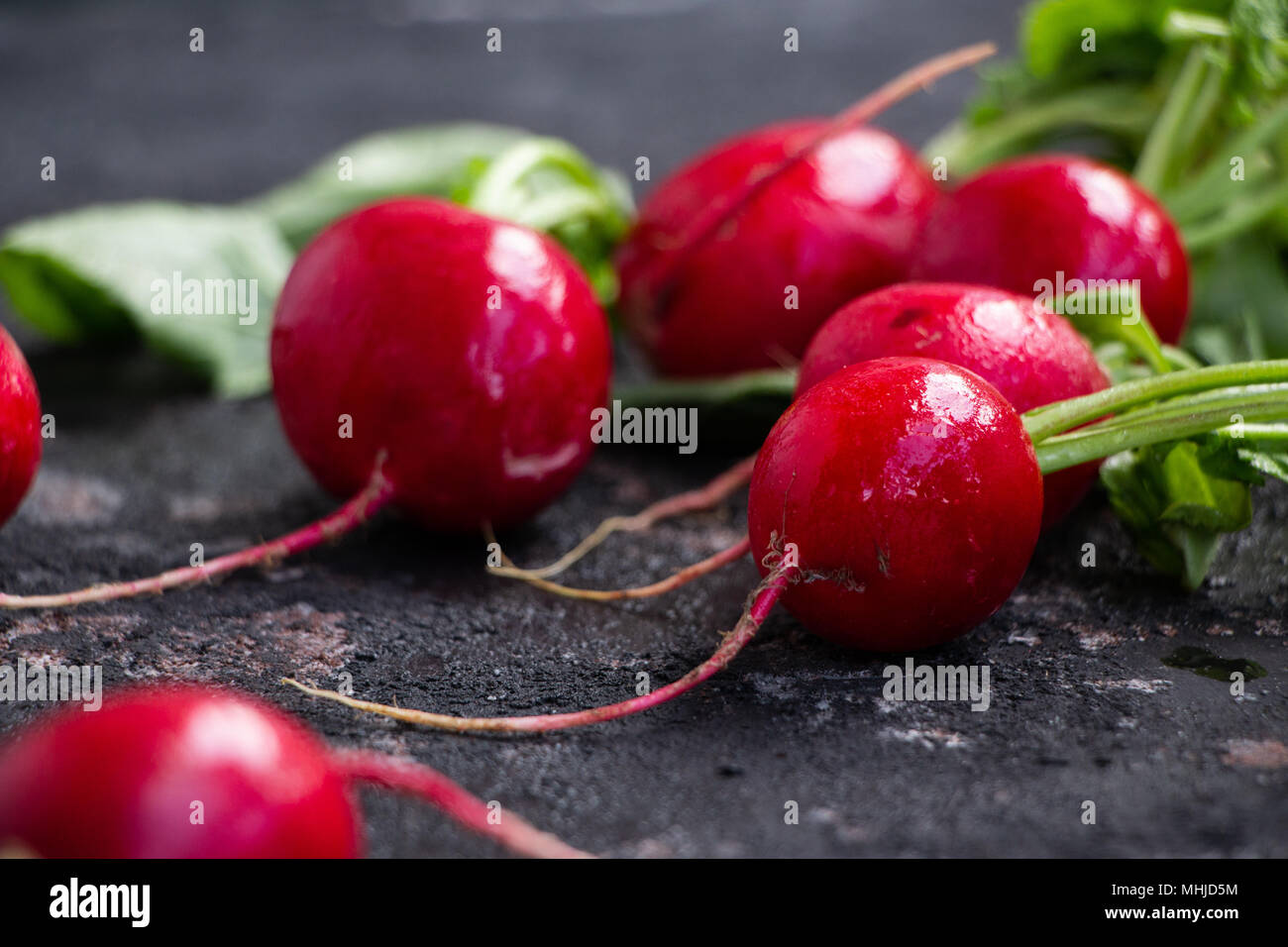 Wet harvested radishes on a dark grunge background Stock Photo
