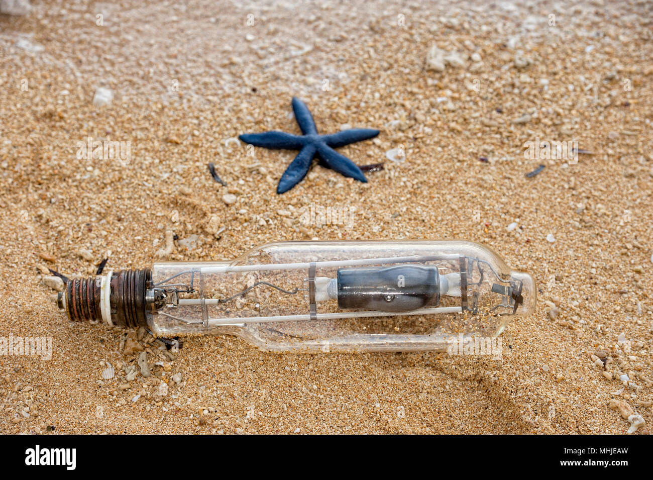 abandoned bulb on sandy beach with blue sea star Stock Photo - Alamy
