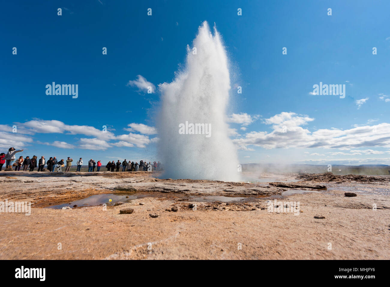 Geyser blow in Iceland while blowing water Stock Photo Alamy
