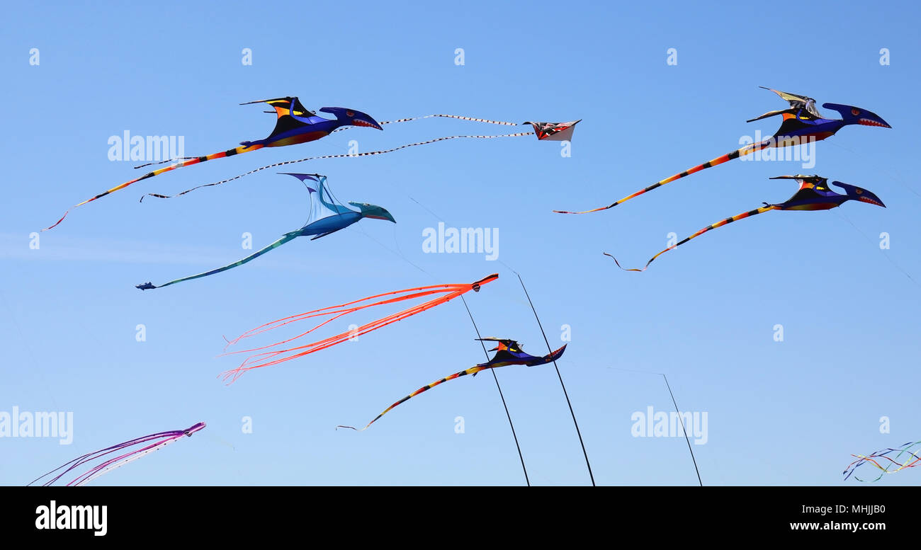 Petrosaurs hires stock photography and images Alamy