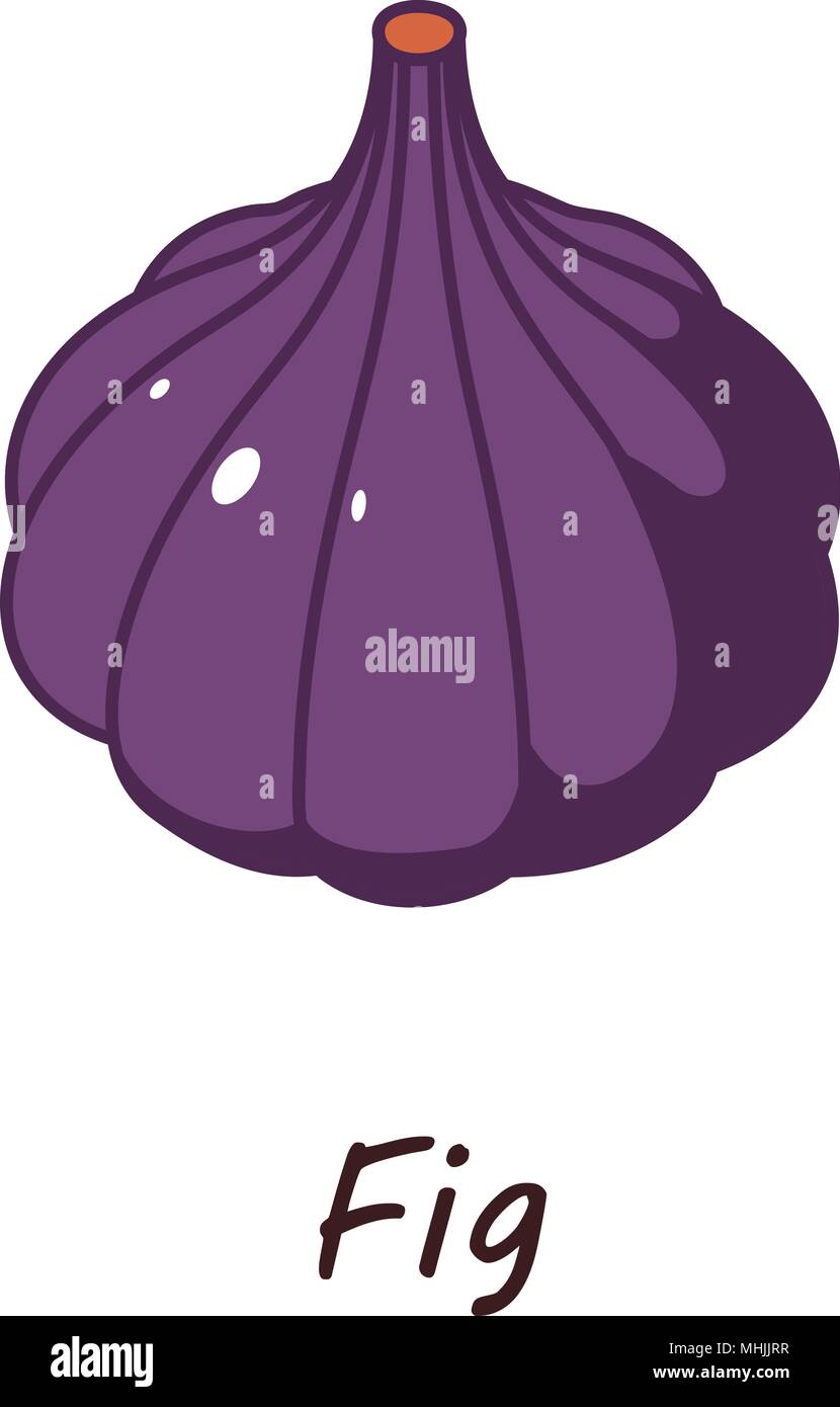 Fig icon, isometric style Stock Vector