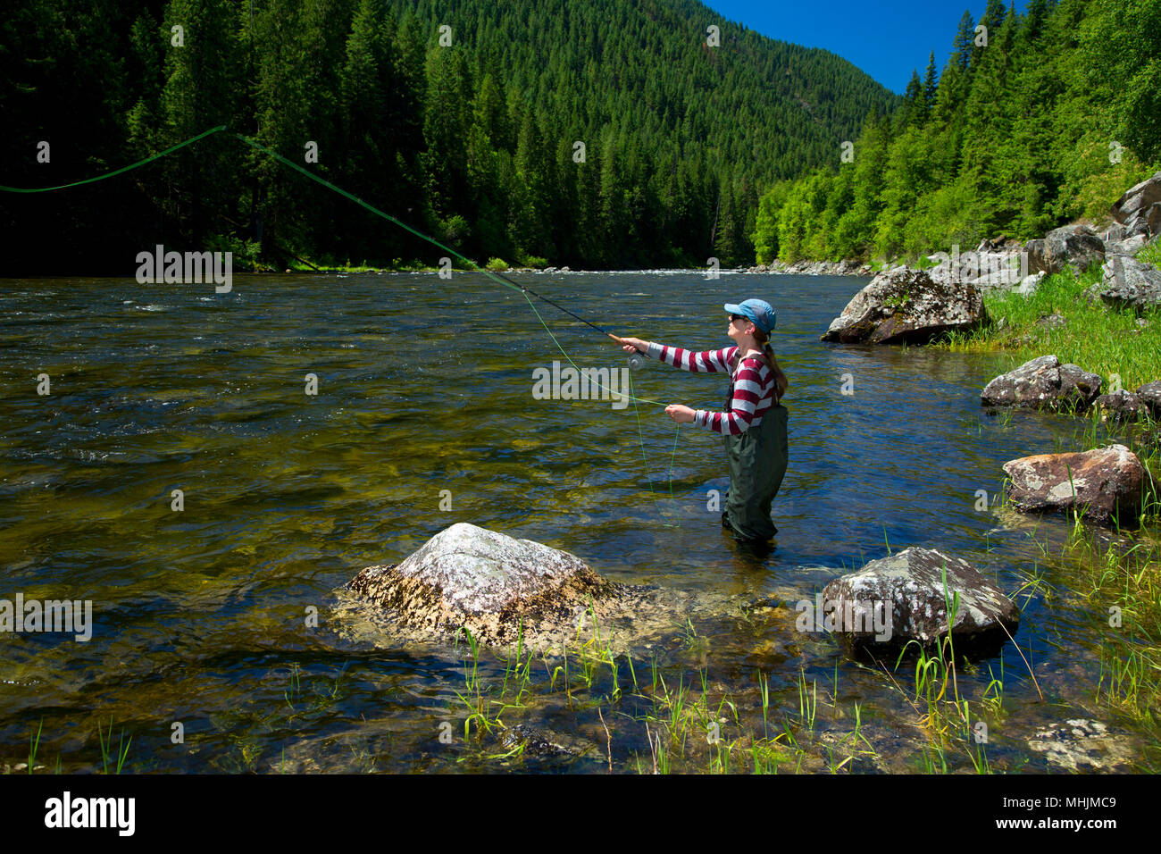 Flyfishing, Lochsa Wild and Scenic River, Northwest Passage Scenic Byway, Clearwater National Forest, Idaho Stock Photo