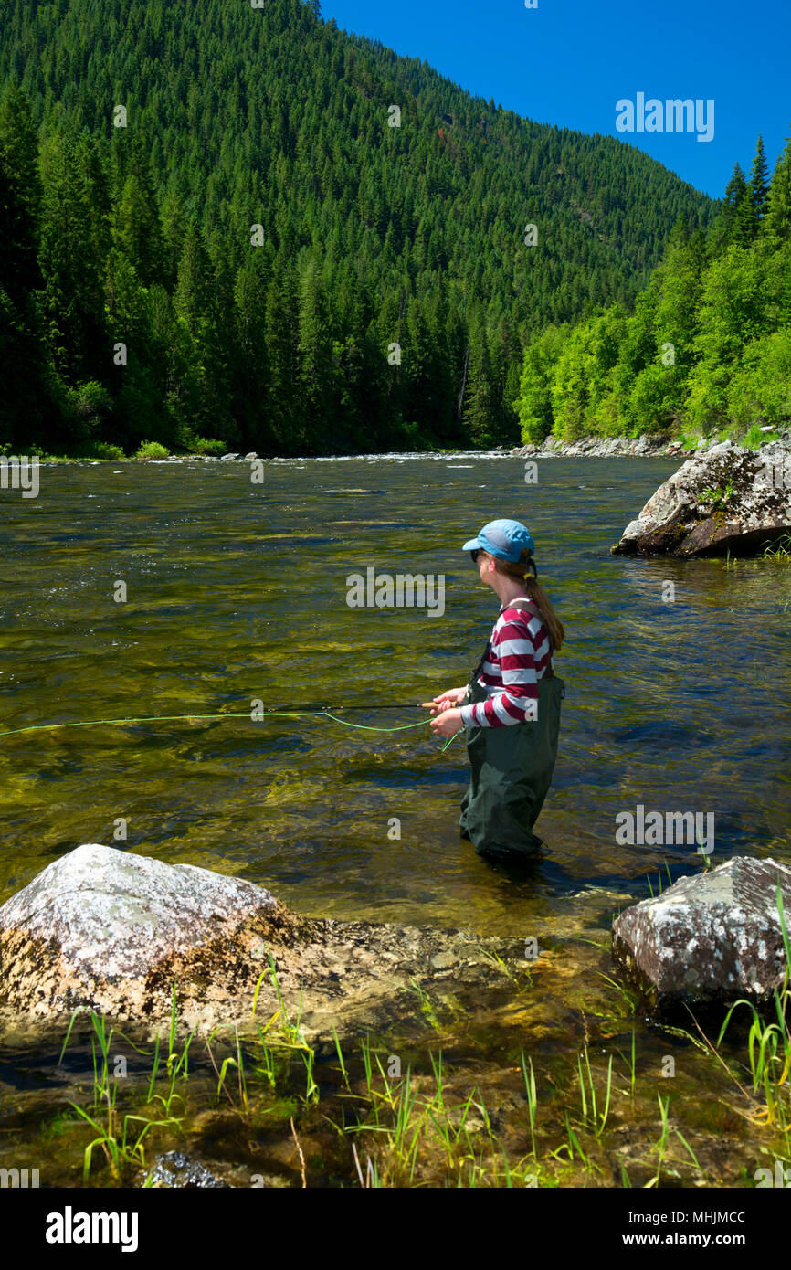 Flyfishing, Lochsa Wild and Scenic River, Northwest Passage Scenic Byway, Clearwater National Forest, Idaho Stock Photo