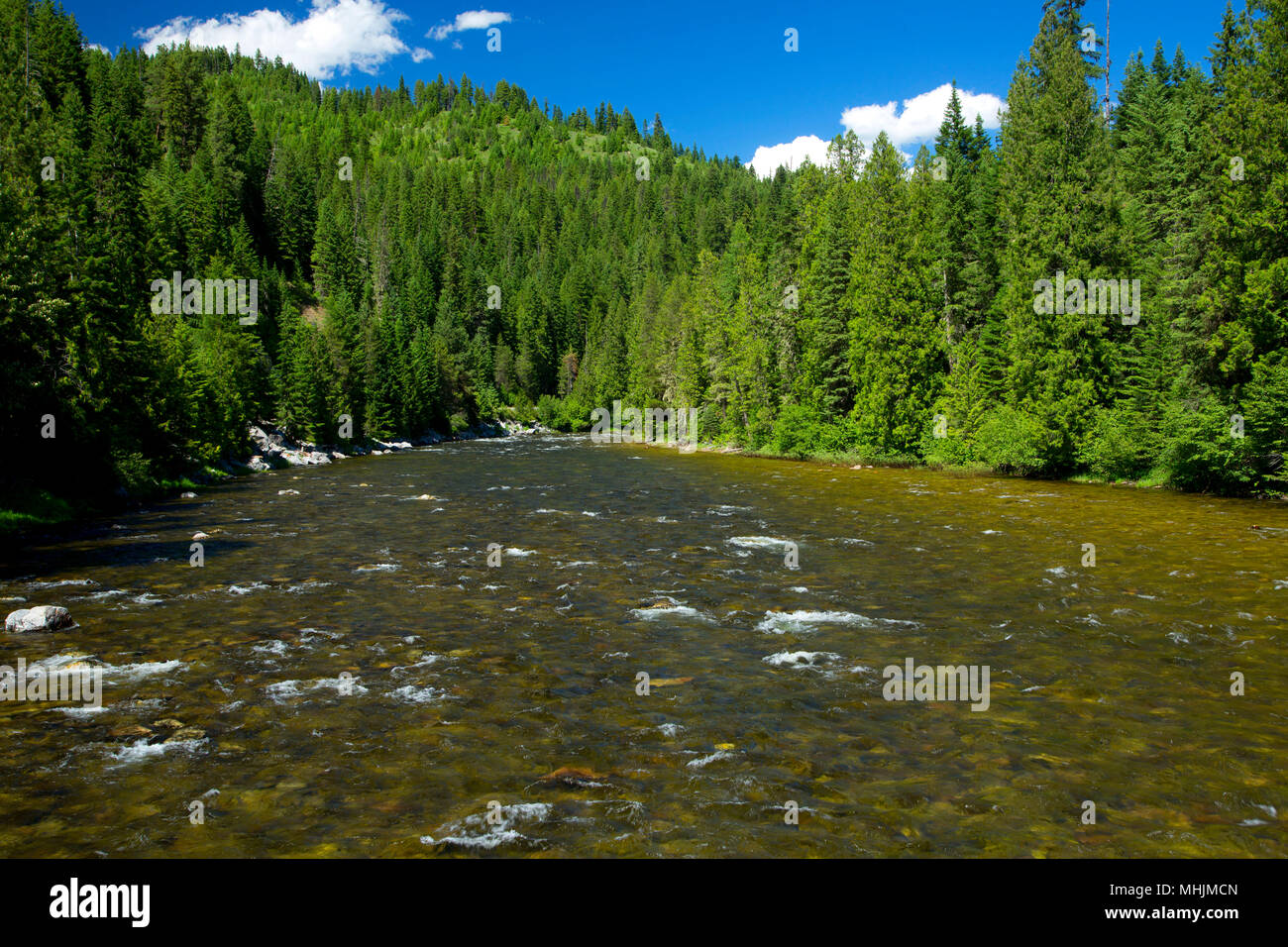 Lochsa Wild and Scenic River, Northwest Passage Scenic Byway, Clearwater National Forest, Idaho Stock Photo