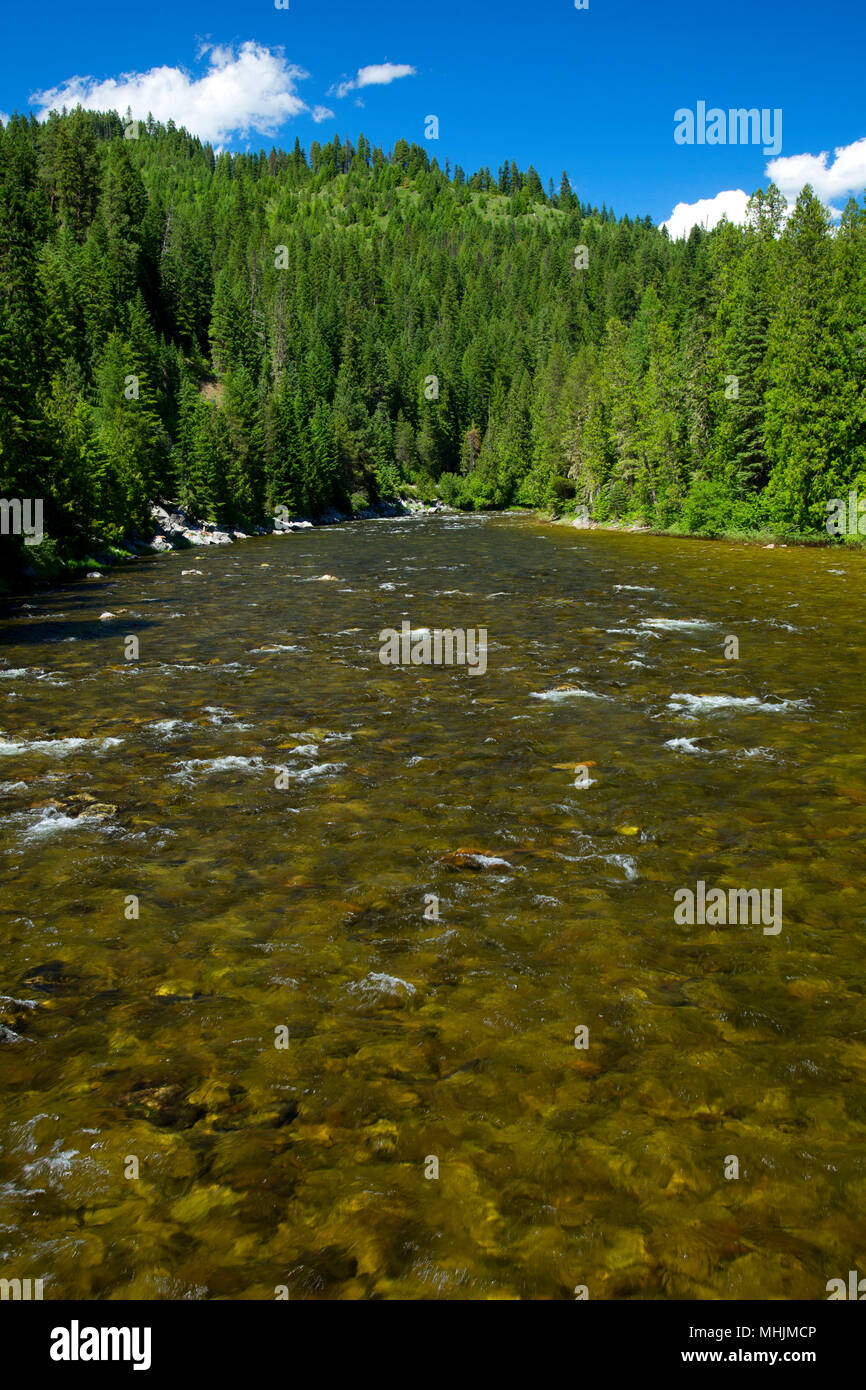 Lochsa Wild and Scenic River, Clearwater National Forest, Idaho Stock Photo
