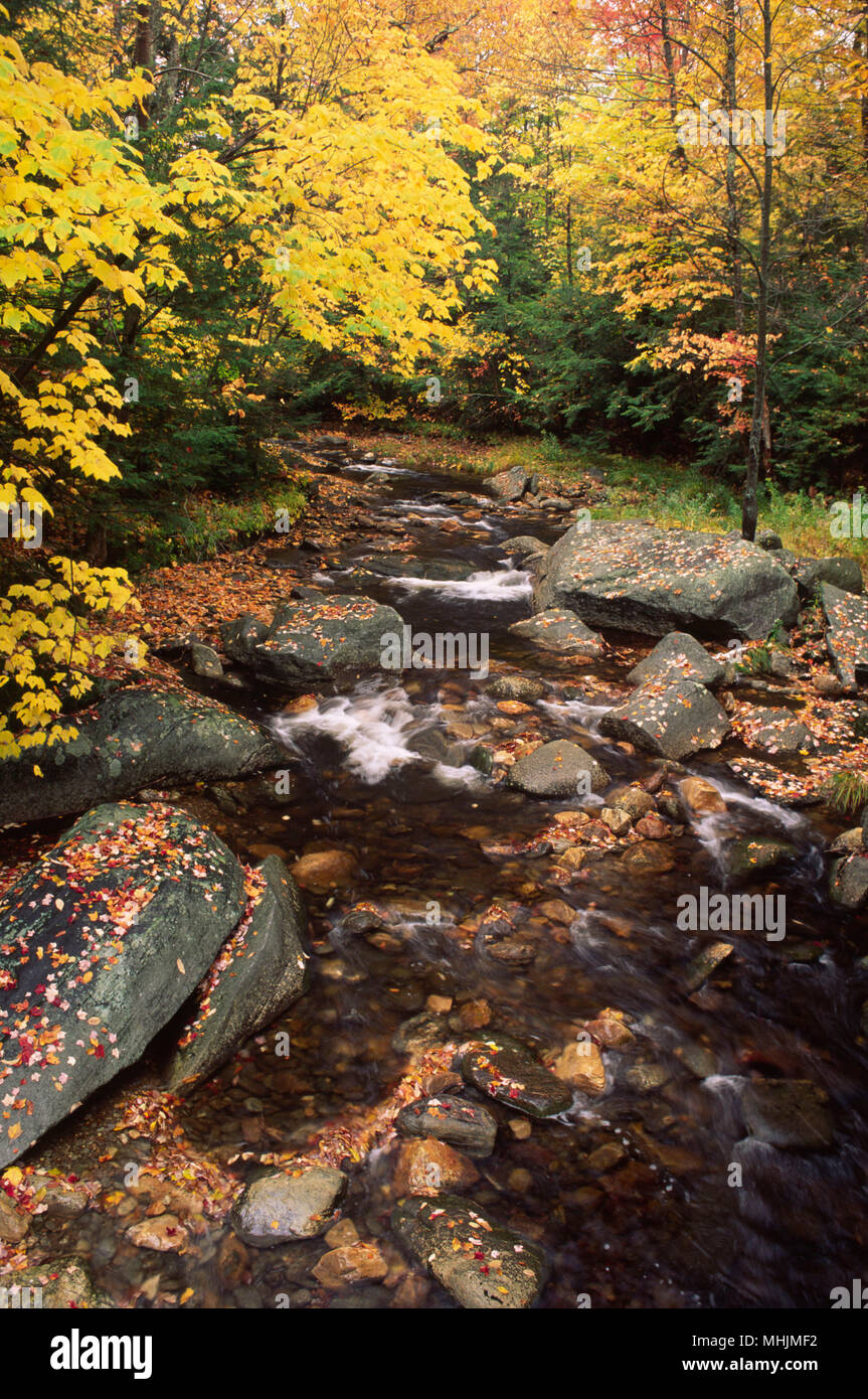 Dunbar Brook, Monroe State Forest, Massachusetts Stock Photo Alamy