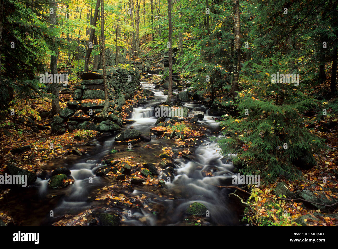 Dubuque memorial state forest hires stock photography and images Alamy