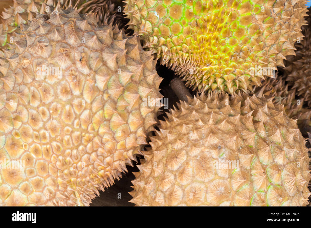 Durian for sale, Central Market, Kota Kinabalu, Sabah, Malaysian Borneo Stock Photo