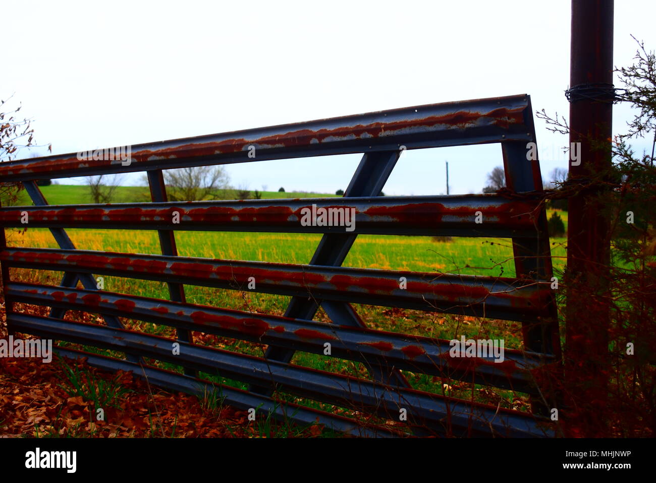 Rusty metal gate preventing access to pasture land on a farm in rural Missouri.  Photo in vivid color. Stock Photo