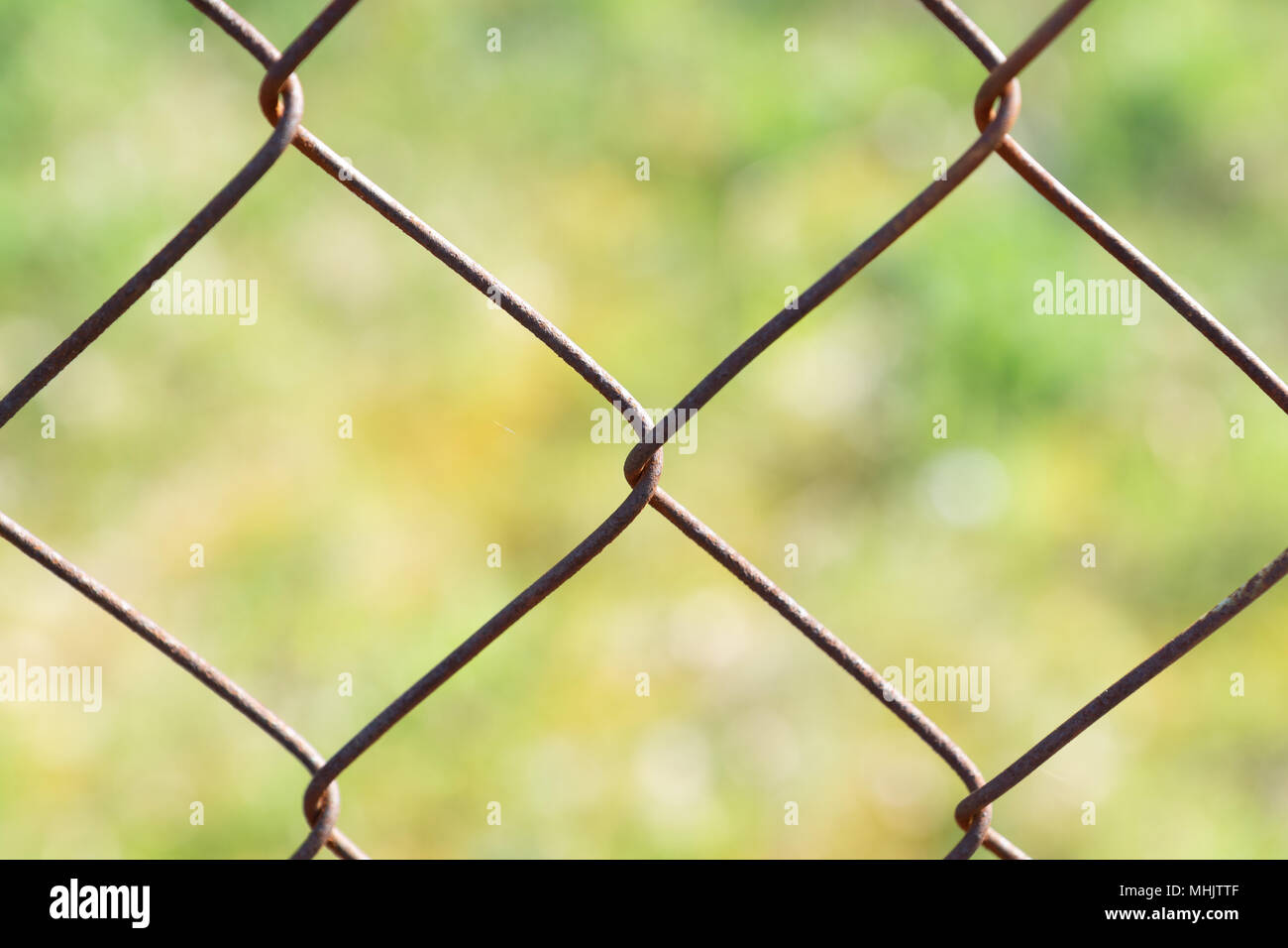 Wire fence with blurred background which is green Stock Photo