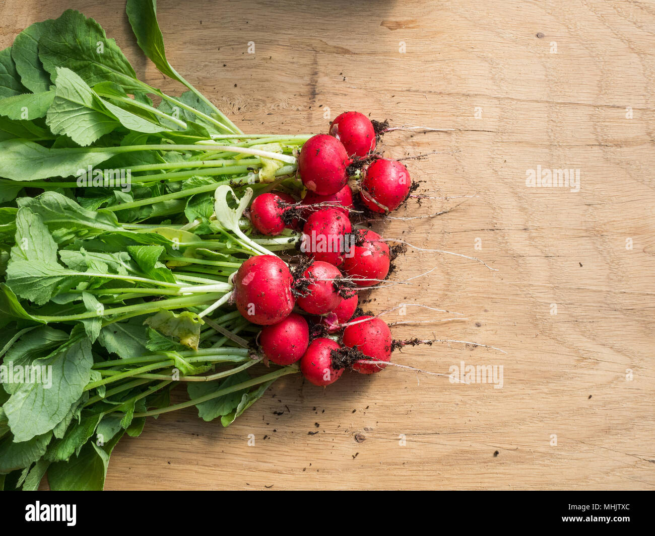 A bunch of bright red radish Scarlet Globe on a wooden surface Stock Photo