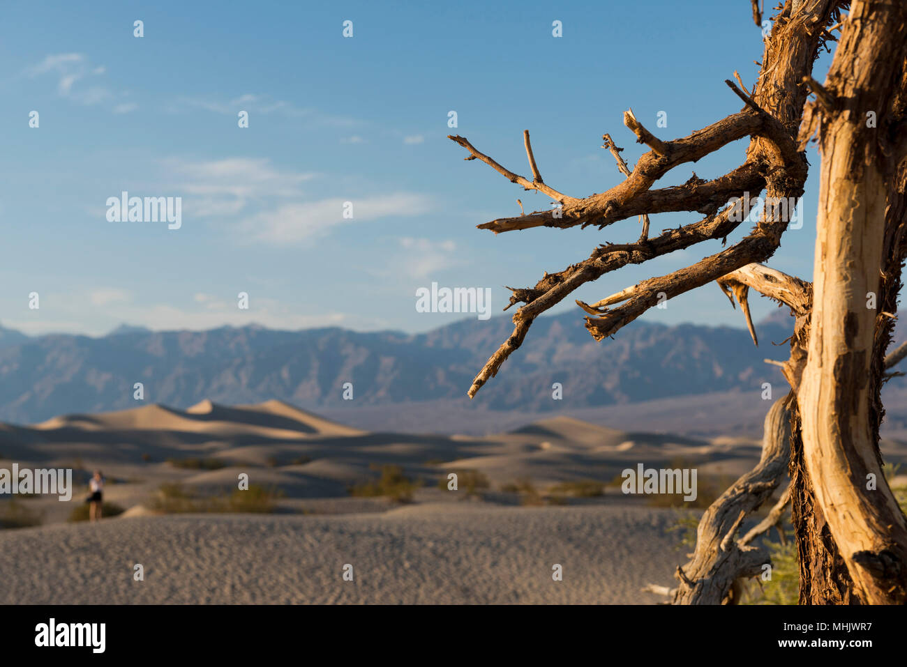 Death valley night view hi-res stock photography and images - Alamy