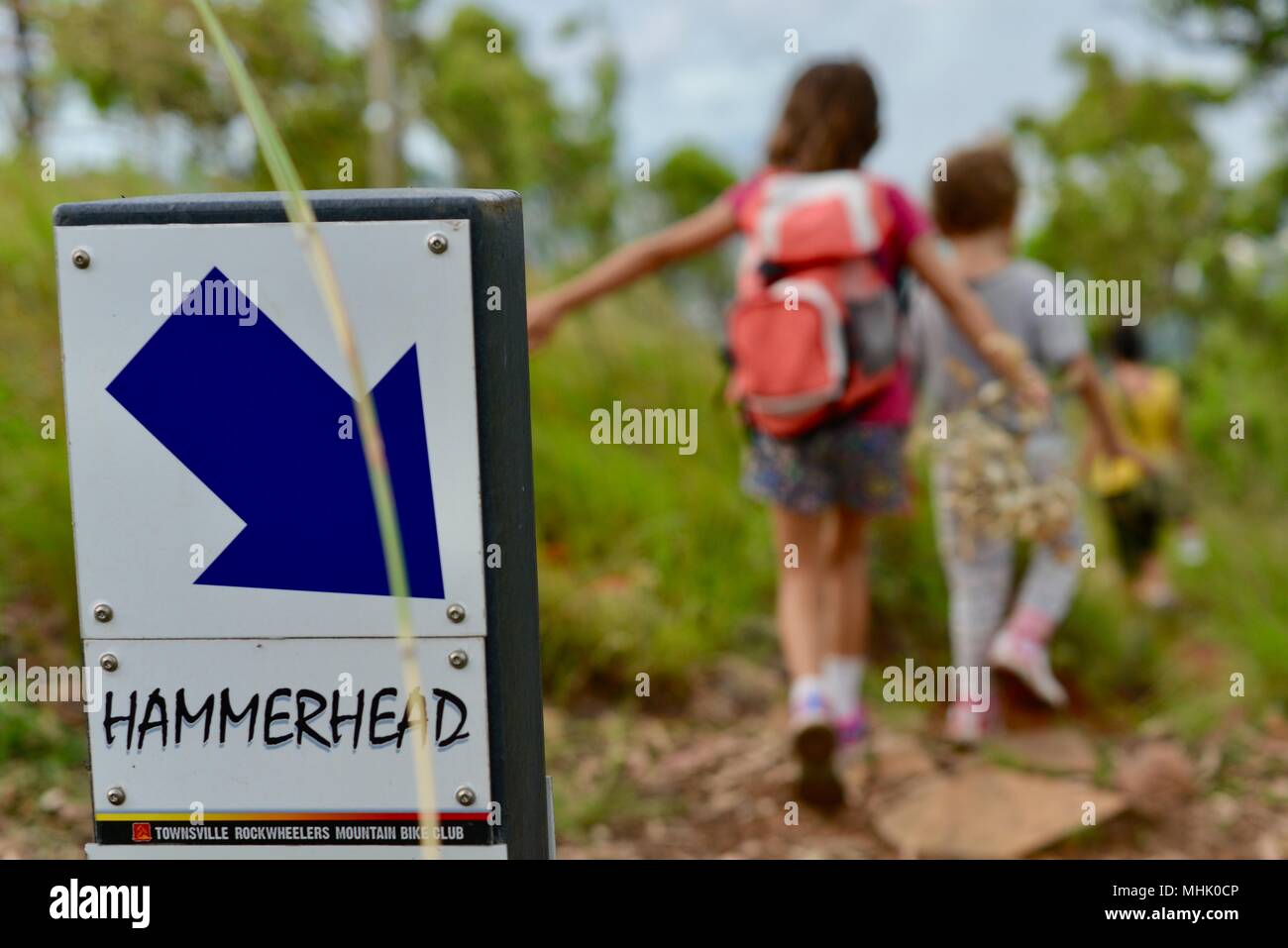 Hammerhead and spider bait mountain bike trail signs hires stock