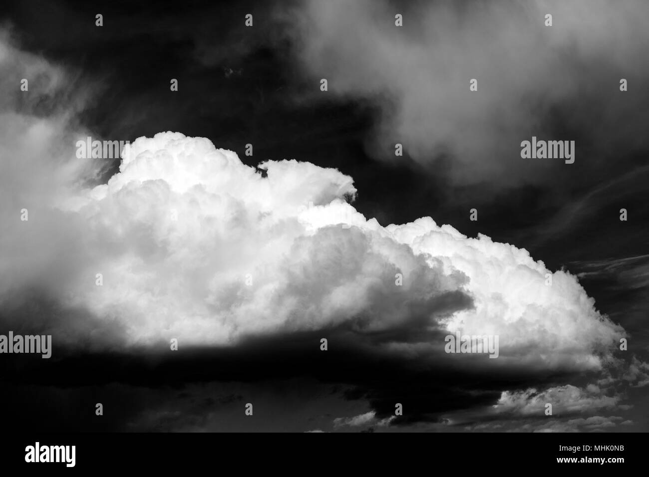 Black & white view of cumulus clouds against a clear Colorado sky Stock Photo