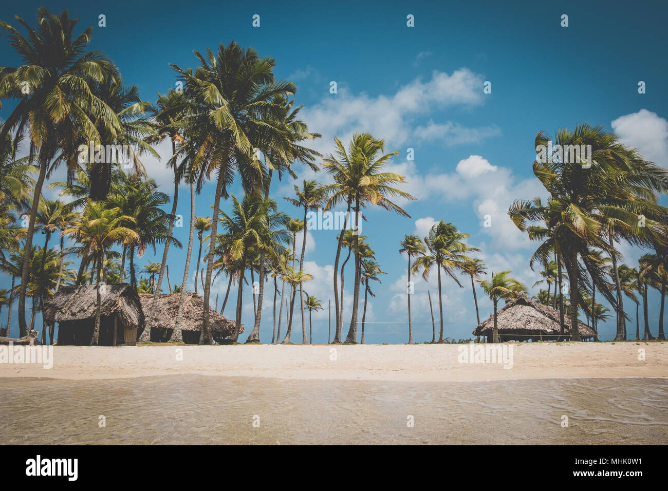 beach vacation - summer holiday on island beach with palm trees Stock Photo