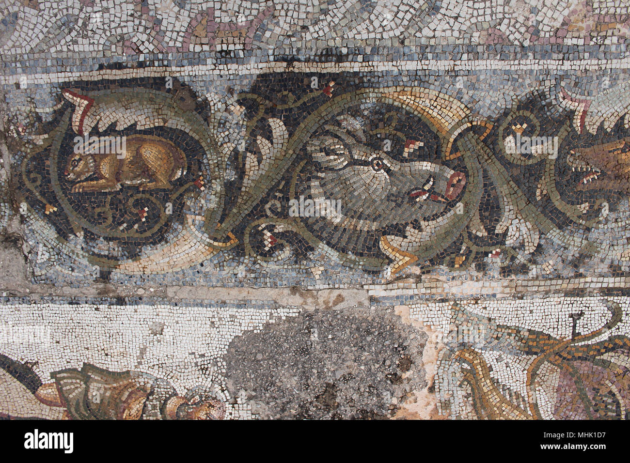 Decorative mosaic border on the floor of a house in the Roman city of Bulla Regia, Tunisia. It is a highly-skilled depiction of the natural world. Stock Photo