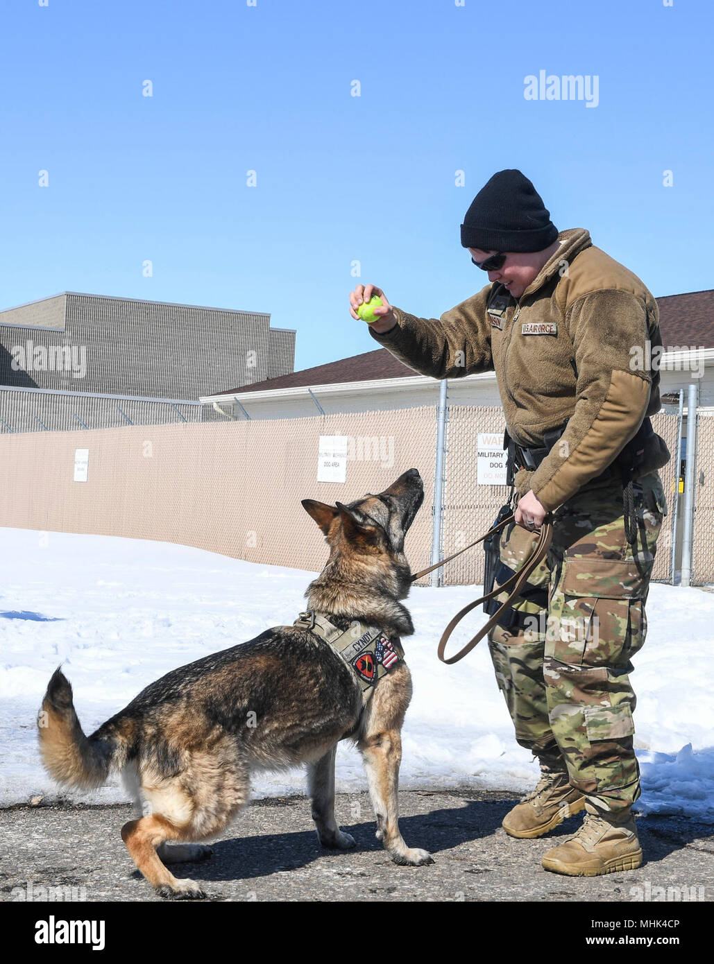 How Much Do Military Dog Trainers Make