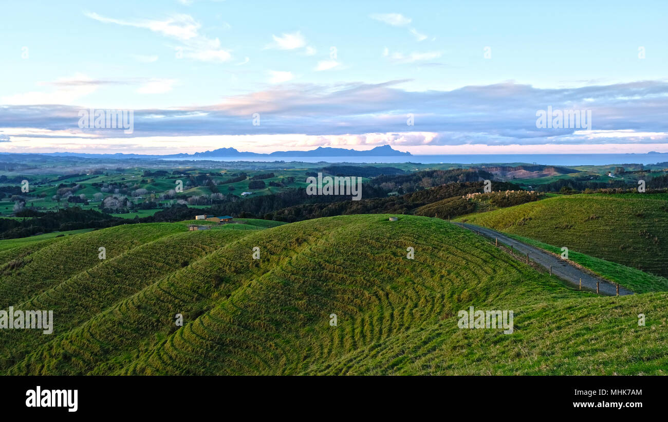 farm land looking over whangarei in New Zealand Stock Photo Alamy