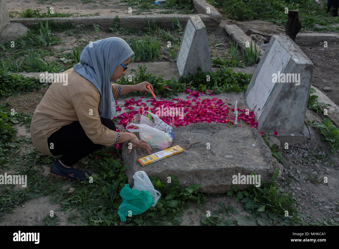 A Kashmiri Shiite Muslim girl spread flower petals on a grave of her