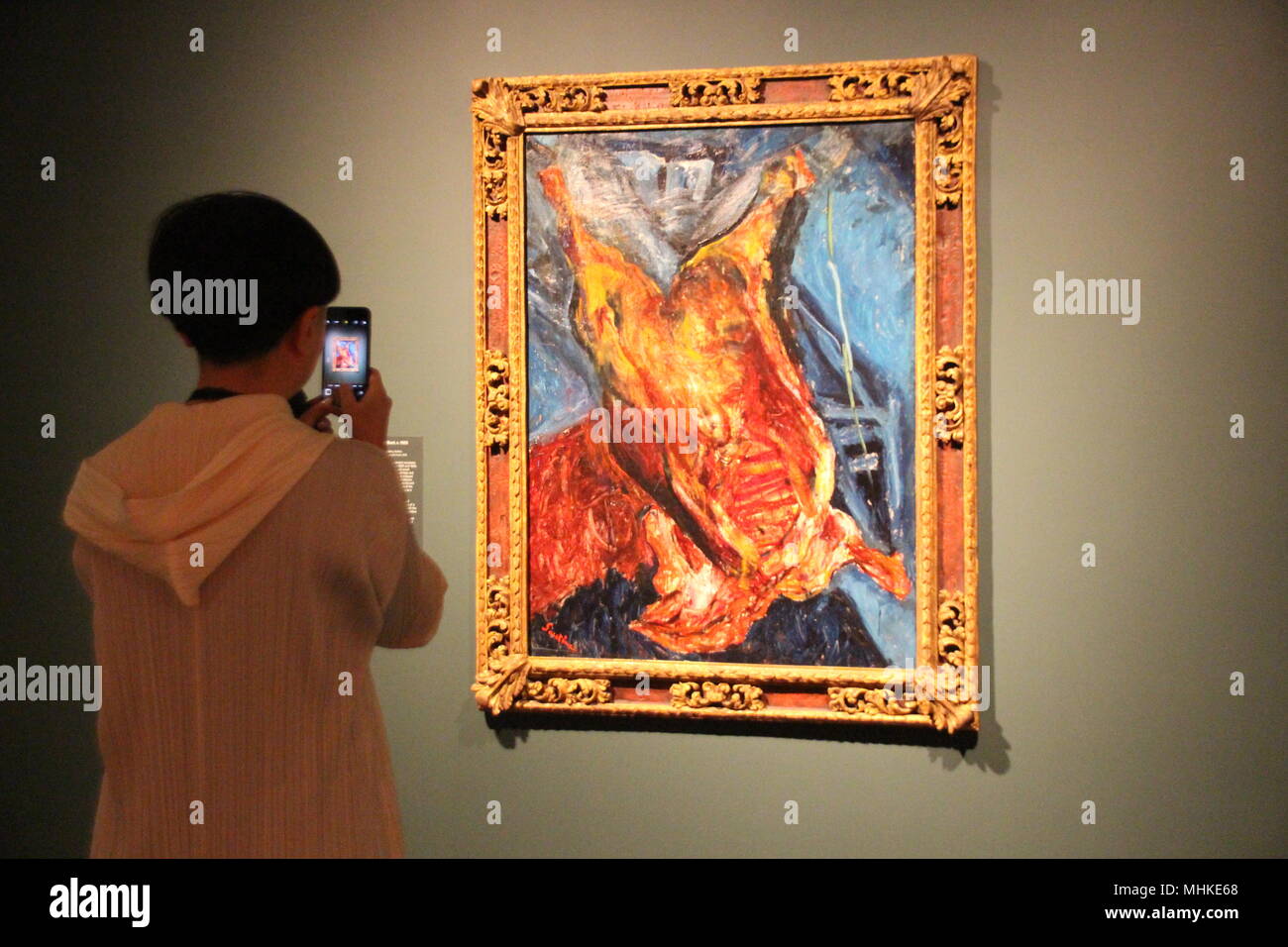 01 May 2018, US, New York: A woman taking a picture of the work 'Carcass of Beef' in the exhibition 'Chaim Soutine: Flesh' in the Jewish Museum. The total of 32 paintings are works by Russo-French painter Chaim Soutine (1893-1943) and depict, among other things, dead pheasants, oxen, chickens and turkeys. Photo: Christina Horsten/dpa Stock Photo