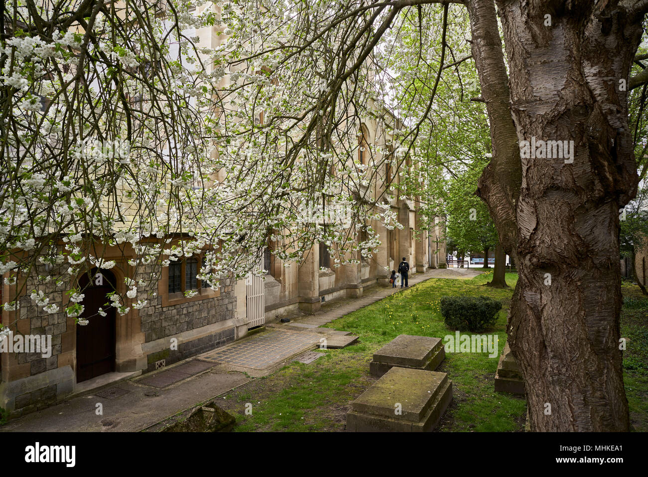24 April 2018, Windsor, Great Britain: A man and his child walking through the church yard of the Windsor Palace. Prince Harry and American Actress Meghan Markle will be saying their Wedding Vows on May 19, 2018 at the Windsor Palace. Photo: David Azia/dpa Stock Photo