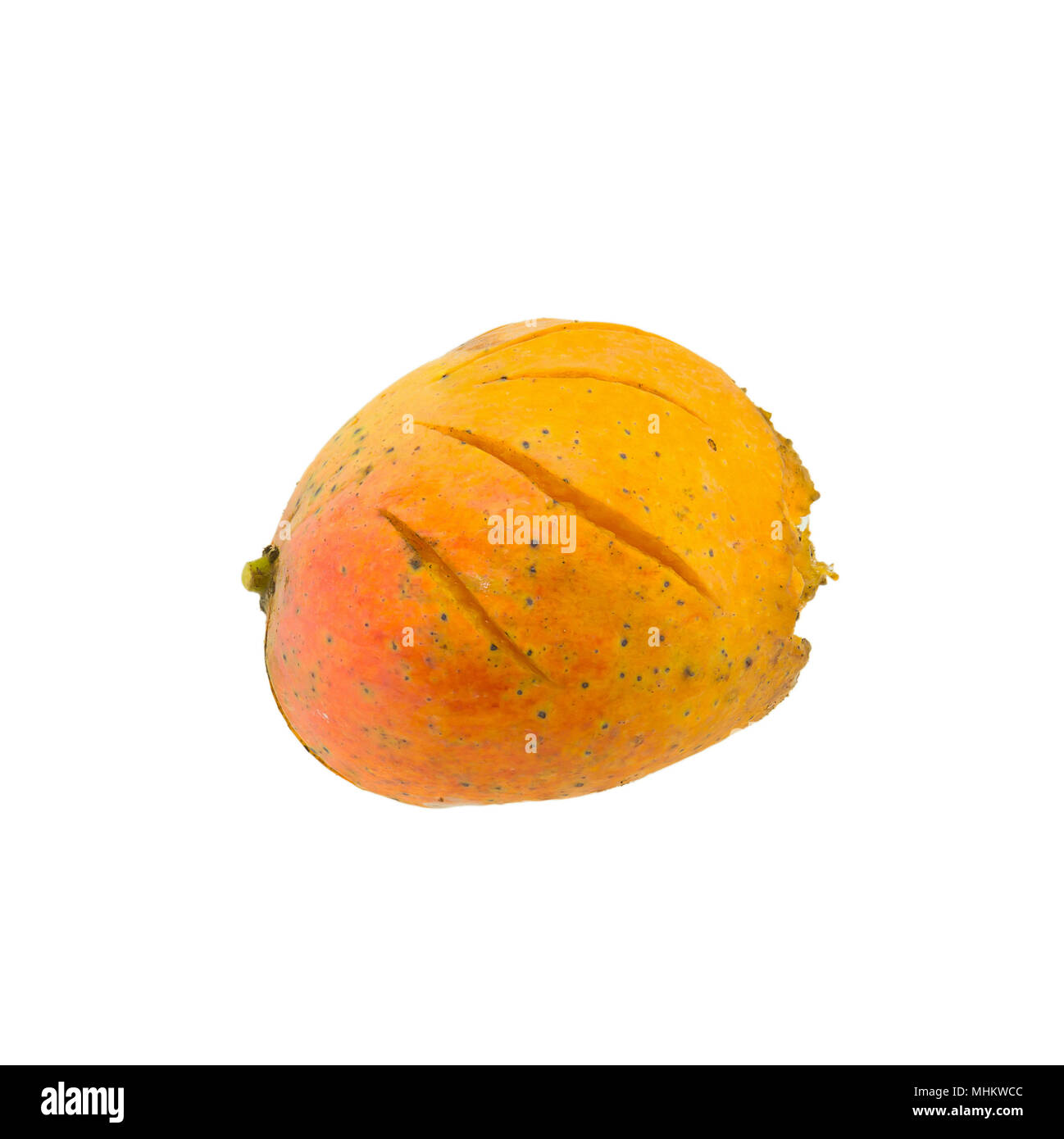top view rotten mango with worms on a white background Stock Photo - Alamy