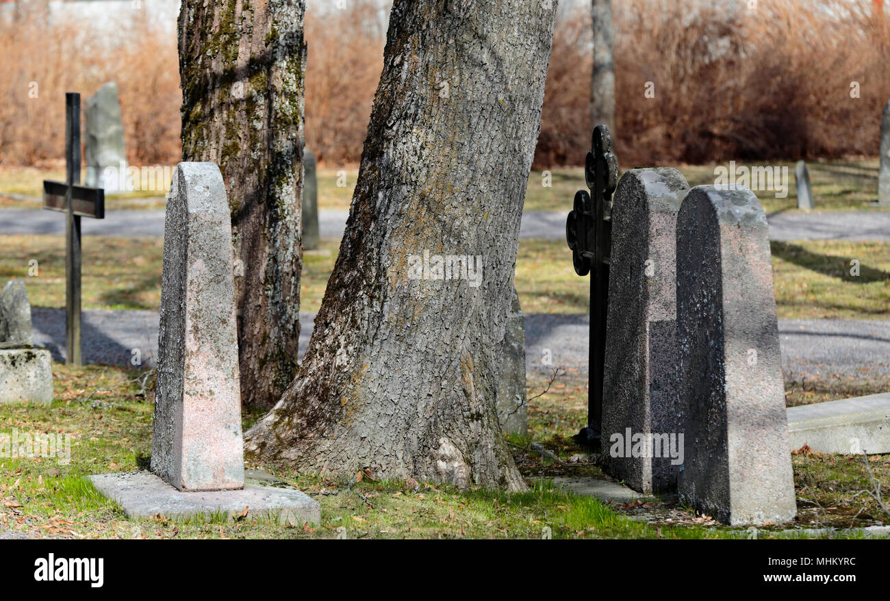 Old oak trees and headstones in springlike graveyard Stock Photo