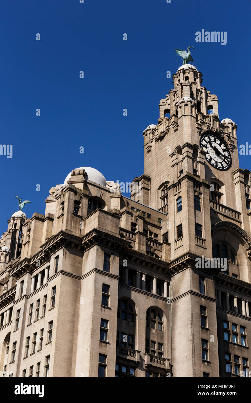 Royal Liver Building in Liverpool UK, Stock Photo