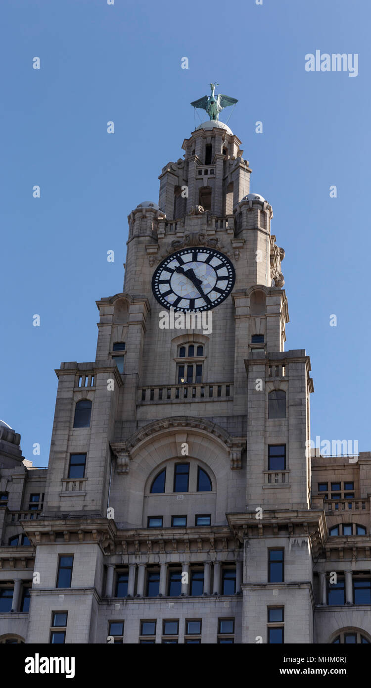 Royal Liver Building in Liverpool UK, Stock Photo