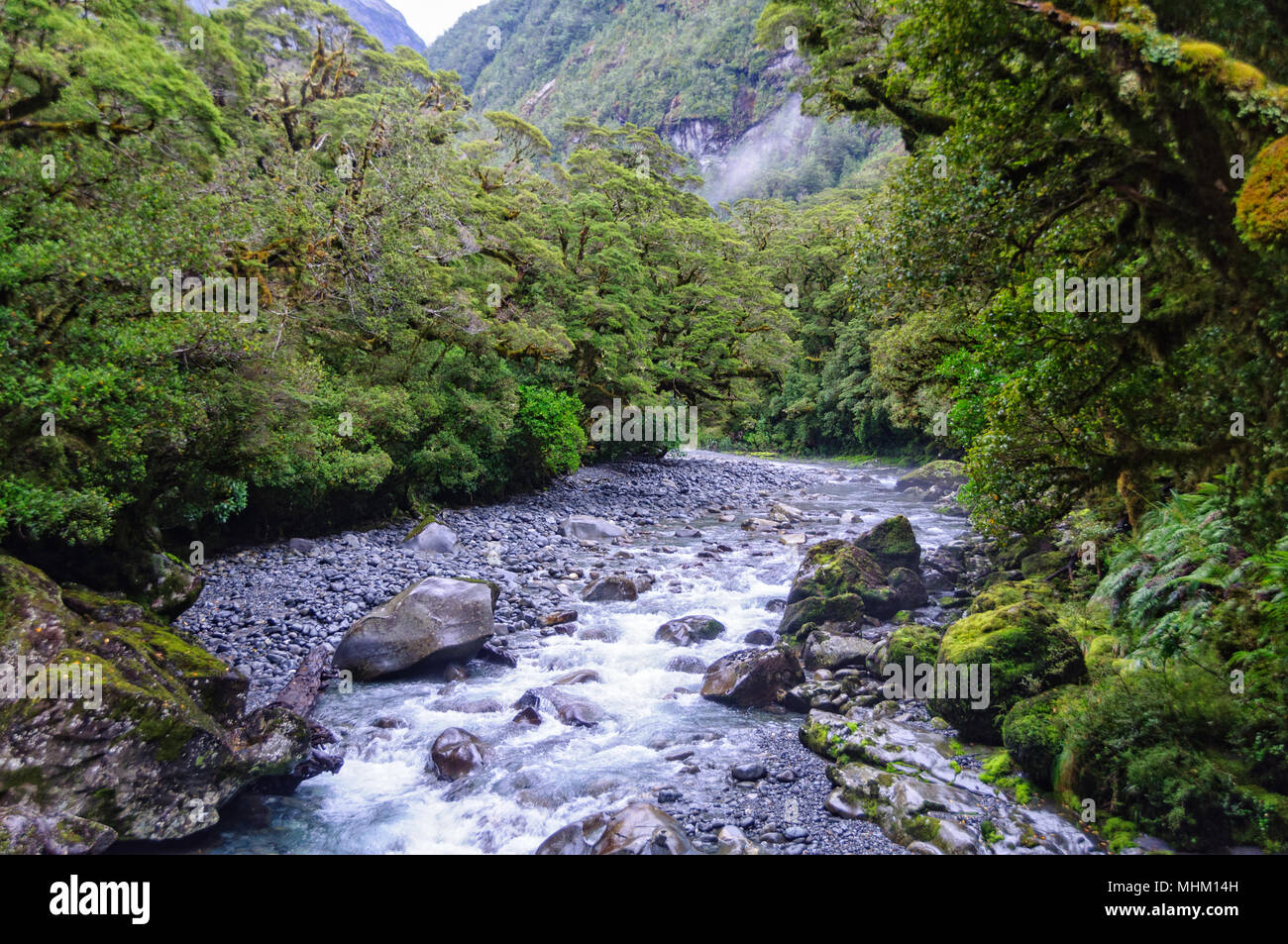 Cleddau River  along the Chasm Walk, halfway between Milford Sound and the Homer Tunnel - Fiordland National Park, South Island, New Zealand Stock Photo