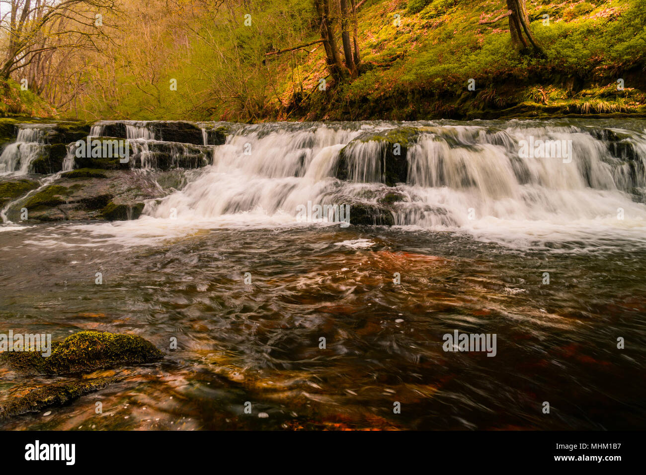 Waterfall cascading in a forrest Stock Photo