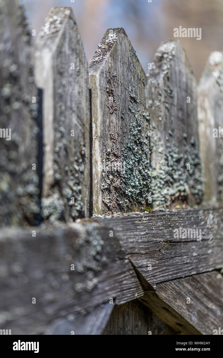 Ancient wooden fence covered by moss.Close-Up Stock Photo - Alamy
