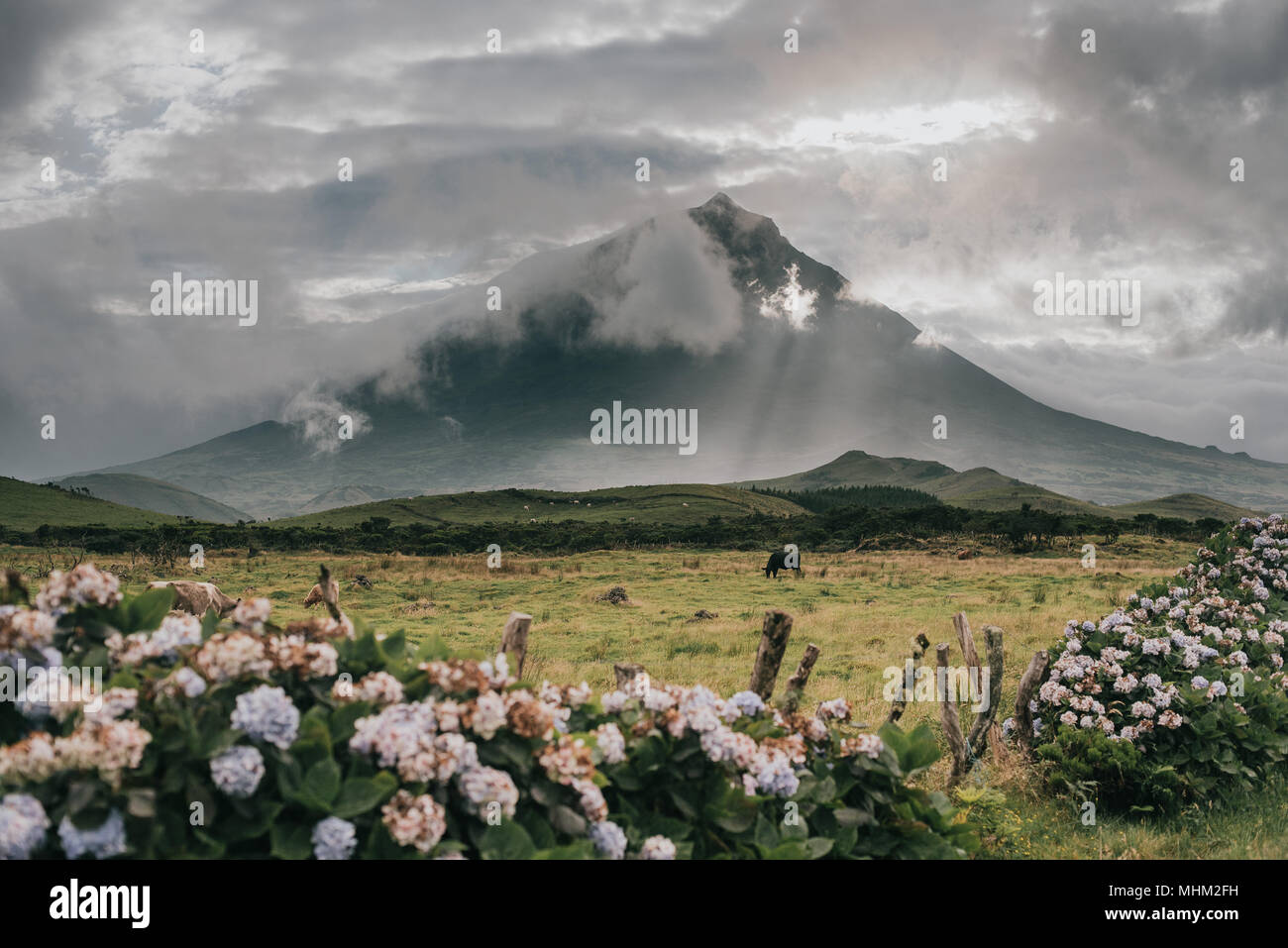 pico mountain on azores islands Stock Photo