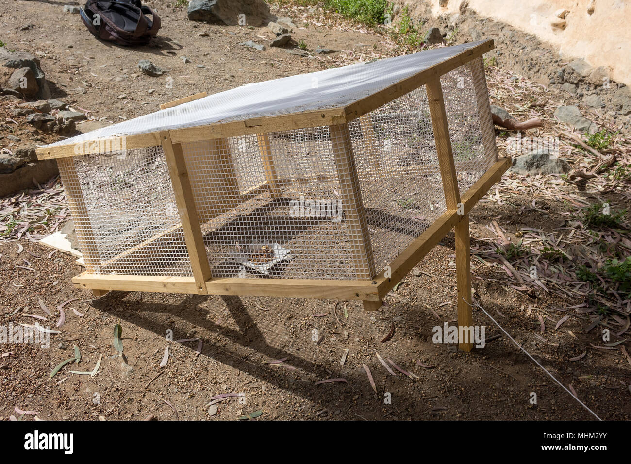 Feral Cats - How To Trap - Planned Pethood Taos