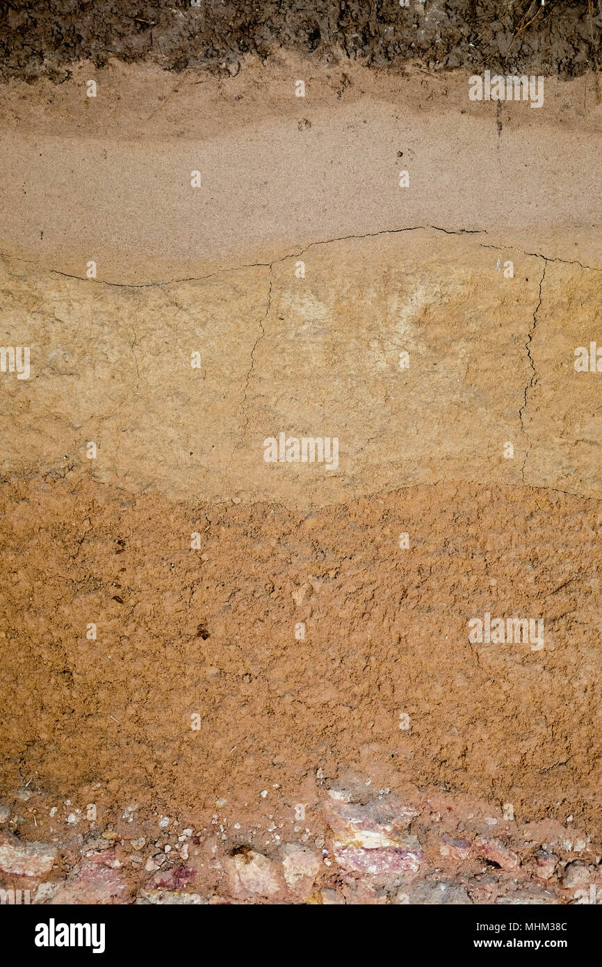 Peat soil layer texture background Stock Photo Alamy